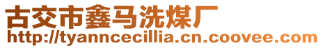 古交市鑫馬洗煤廠