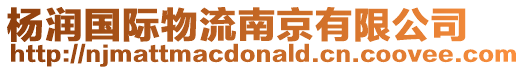 楊潤國際物流南京有限公司