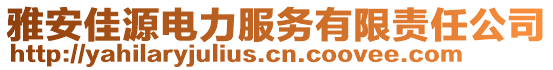 雅安佳源電力服務(wù)有限責(zé)任公司