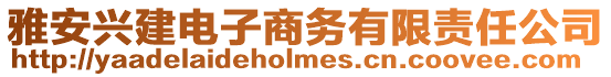 雅安興建電子商務有限責任公司
