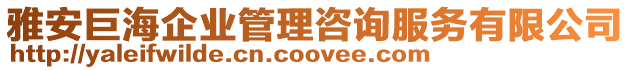 雅安巨海企業管理咨詢服務有限公司