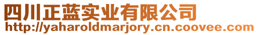 四川正藍實業(yè)有限公司