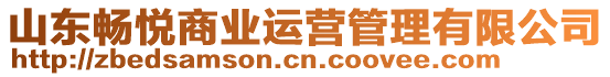 山東暢悅商業(yè)運(yùn)營管理有限公司