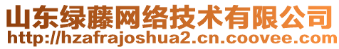 山東綠藤網(wǎng)絡(luò)技術(shù)有限公司