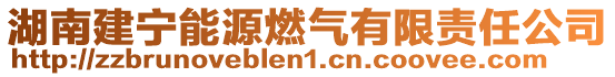 湖南建寧能源燃?xì)庥邢挢?zé)任公司