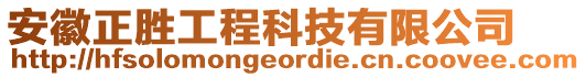 安徽正勝工程科技有限公司