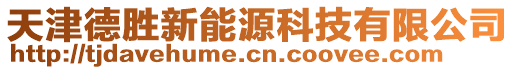 天津德勝新能源科技有限公司