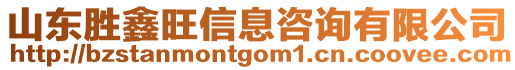 山東勝鑫旺信息咨詢有限公司