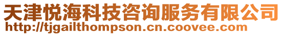 天津悅海科技咨詢服務有限公司