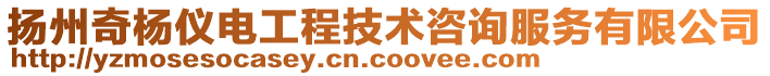 揚州奇楊儀電工程技術咨詢服務有限公司