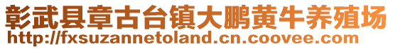 彰武縣章古臺鎮大鵬黃牛養殖場
