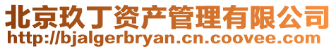 北京玖丁資產管理有限公司