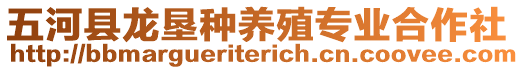 五河縣龍墾種養(yǎng)殖專業(yè)合作社