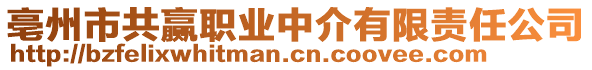 亳州市共贏職業(yè)中介有限責(zé)任公司