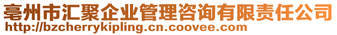 亳州市匯聚企業(yè)管理咨詢有限責(zé)任公司