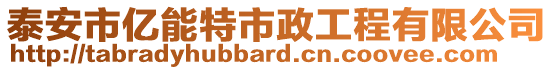 泰安市億能特市政工程有限公司