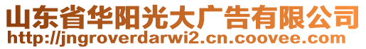 山東省華陽光大廣告有限公司