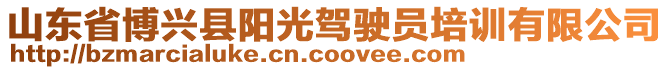 山東省博興縣陽光駕駛員培訓(xùn)有限公司