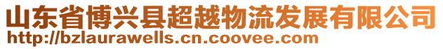 山東省博興縣超越物流發展有限公司