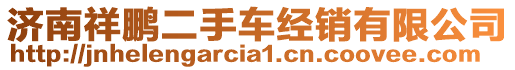 濟南祥鵬二手車經銷有限公司