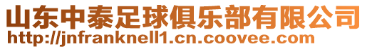 山東中泰足球俱樂部有限公司