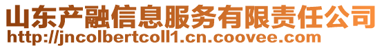 山東產融信息服務有限責任公司