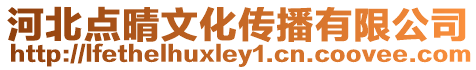 河北點晴文化傳播有限公司