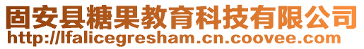 固安縣糖果教育科技有限公司