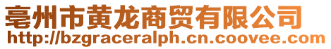 亳州市黃龍商貿有限公司
