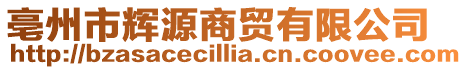 亳州市輝源商貿有限公司