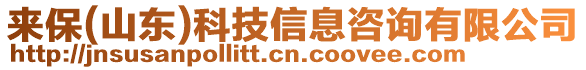 來保(山東)科技信息咨詢有限公司