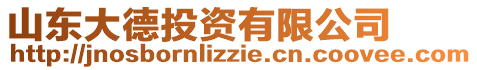 山東大德投資有限公司