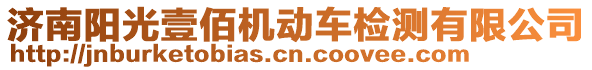 濟南陽光壹佰機動車檢測有限公司