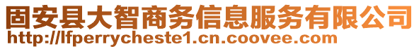 固安縣大智商務(wù)信息服務(wù)有限公司