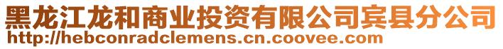 黑龍江龍和商業(yè)投資有限公司賓縣分公司