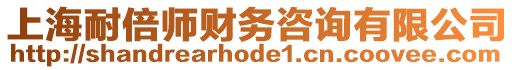 上海耐倍師財(cái)務(wù)咨詢(xún)有限公司