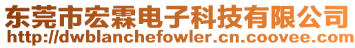 東莞市宏霖電子科技有限公司