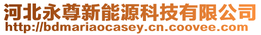河北永尊新能源科技有限公司