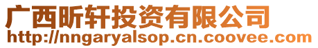 廣西昕軒投資有限公司