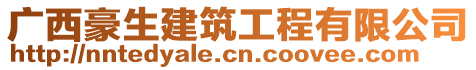 廣西豪生建筑工程有限公司
