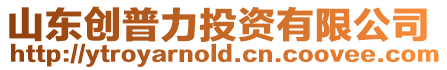 山東創(chuàng)普力投資有限公司