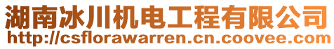 湖南冰川機電工程有限公司