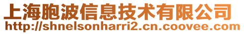 上海胞波信息技术有限公司