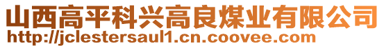 山西高平科興高良煤業(yè)有限公司