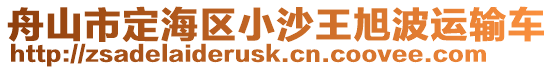 舟山市定海區(qū)小沙王旭波運(yùn)輸車