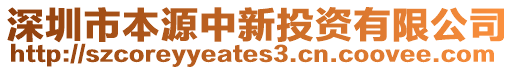 深圳市本源中新投資有限公司