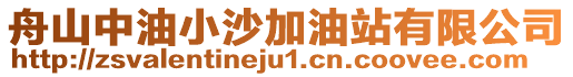 舟山中油小沙加油站有限公司