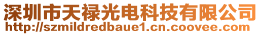 深圳市天祿光電科技有限公司