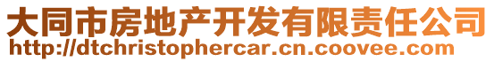 大同市房地產(chǎn)開發(fā)有限責(zé)任公司