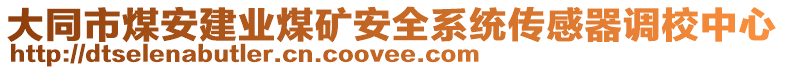 大同市煤安建業(yè)煤礦安全系統(tǒng)傳感器調(diào)校中心